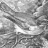 Mockingbird